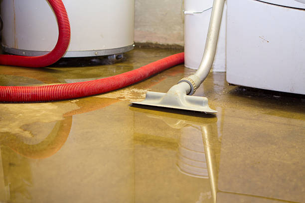 Trusted Water Damage Restoration in Dulce, NM | Fast, Reliable, and Ready to Assist You